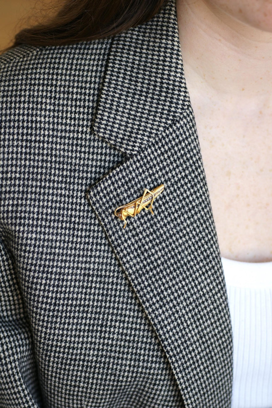 Antique Sauterelle Brooch in Yellow Gold and Diamonds - Galerie Pénélope