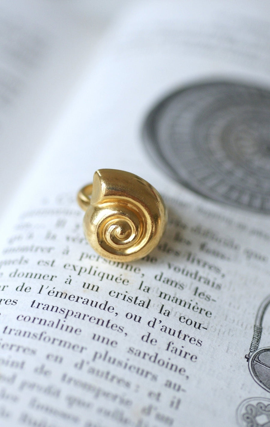 Lalaounis gold shell ring - Galerie Pénélope