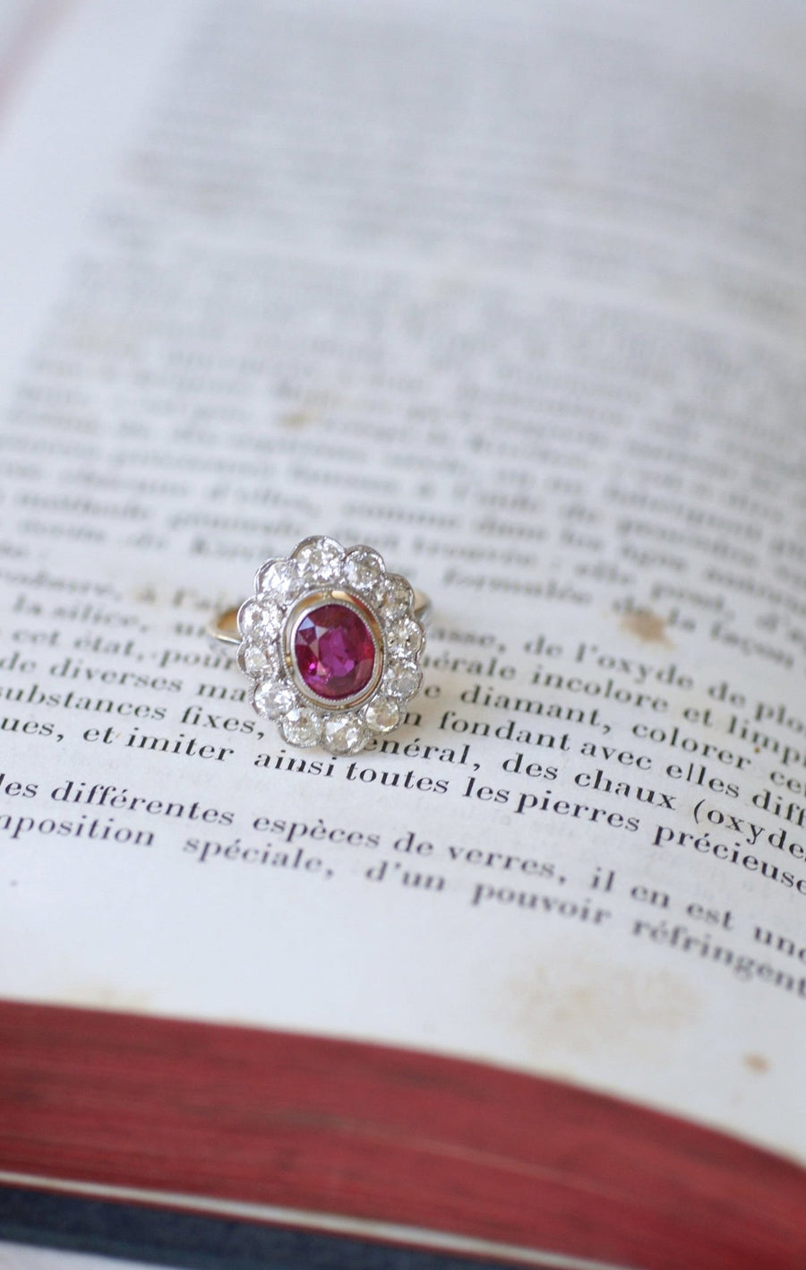 Daisy ring, unheated Birman ruby 1.60 Cts, diamonds - Penelope Gallery