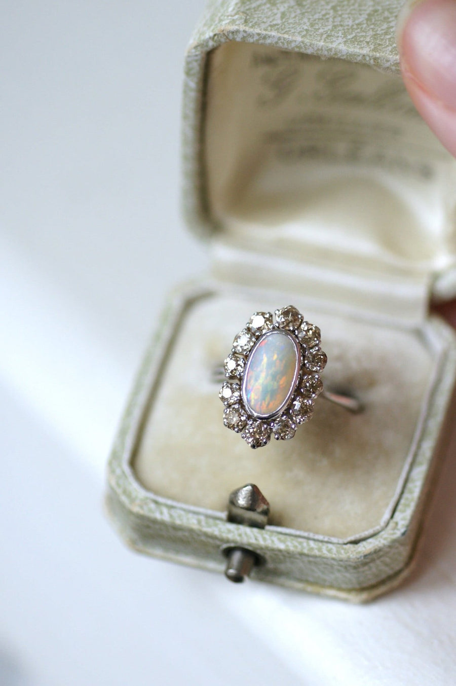 Opal margurite ring set in diamonds on white gold - Galerie Pénélope