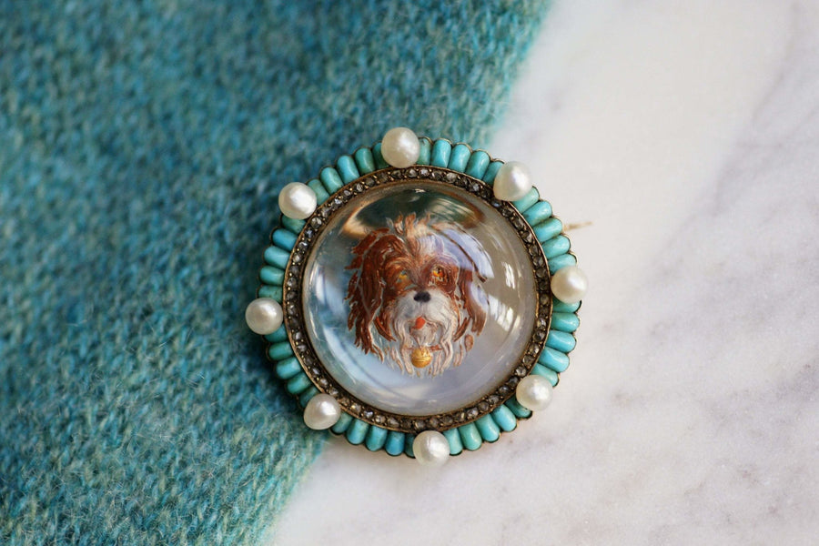 Victorian brooch in gold and fixed under glass dog, turquoise diamonds and pearls - Galerie Pénélope
