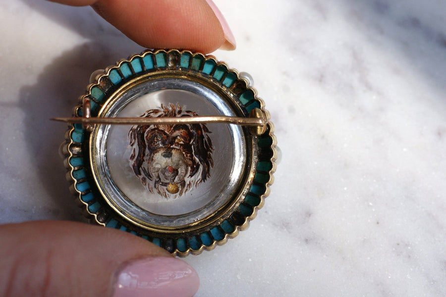 Victorian brooch in gold and fixed under glass dog, turquoise diamonds and pearls - Galerie Pénélope
