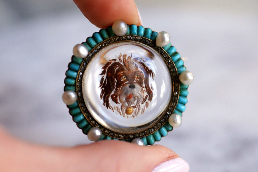 Victorian brooch in gold and fixed under glass dog, turquoise diamonds and pearls - Galerie Pénélope