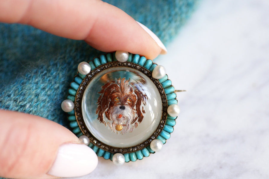 Victorian brooch in gold and fixed under glass dog, turquoise diamonds and pearls - Galerie Pénélope