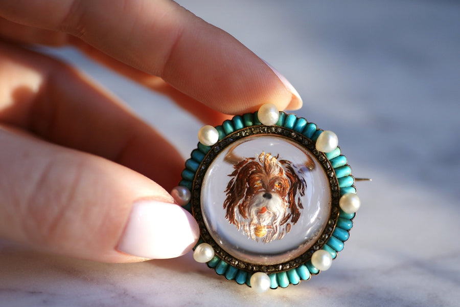 Victorian brooch in gold and fixed under glass dog, turquoise diamonds and pearls - Galerie Pénélope