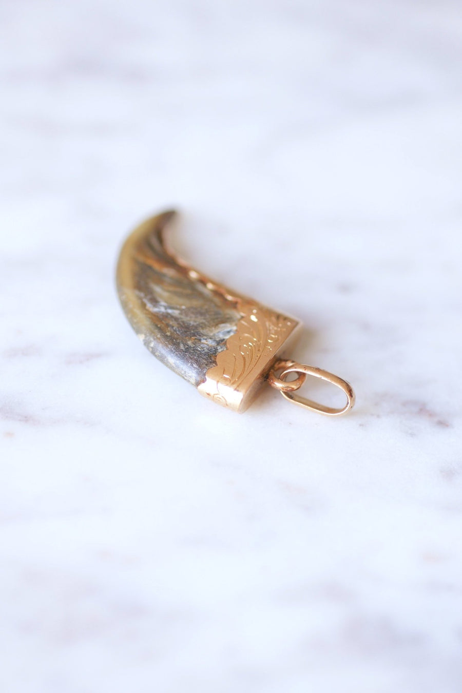 Victorian lion claw pendant on 18Kt pink gold - Galerie Pénélope
