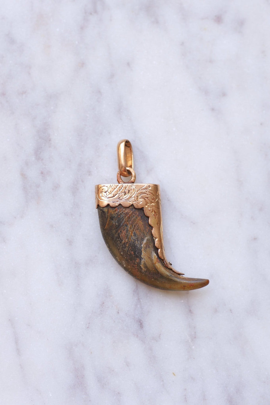 Victorian lion claw pendant on 18Kt pink gold - Galerie Pénélope