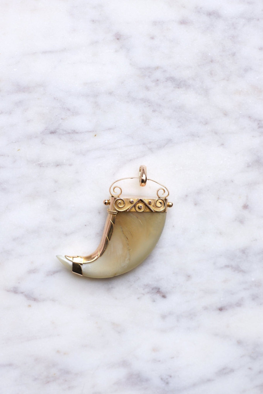 Pendant Victorian Tiger Claw on 14Kt Rose Gold, 19th Century