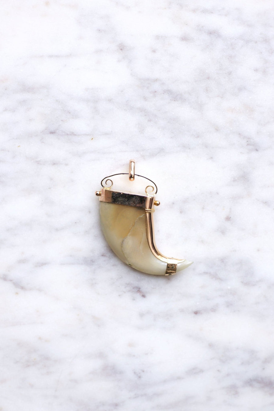 Pendant Victorian Tiger Claw on 14Kt Rose Gold, 19th Century