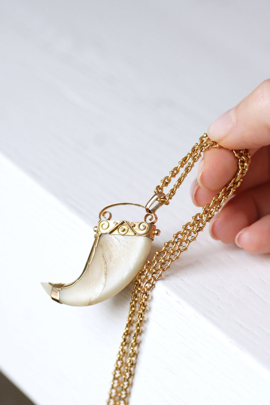 Pendant Victorian Tiger Claw on 14Kt Rose Gold, 19th Century