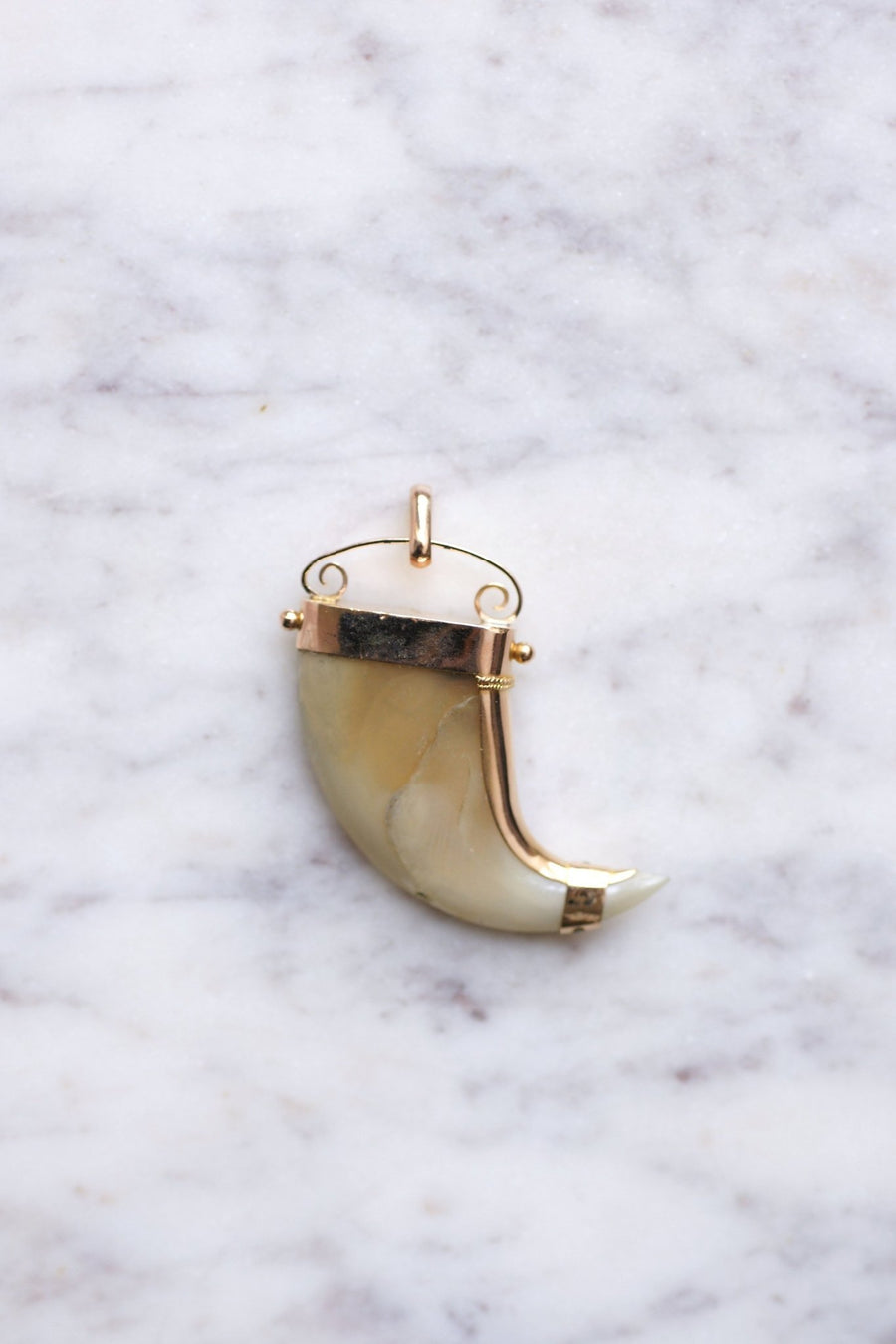 Pendant Victorian Tiger Claw on 14Kt Rose Gold, 19th Century