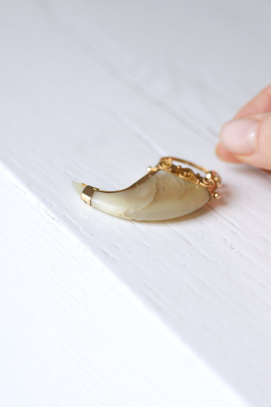 Tiger Claw Victorian Pendant on 9Kt Rose Gold Galerie Pénélope