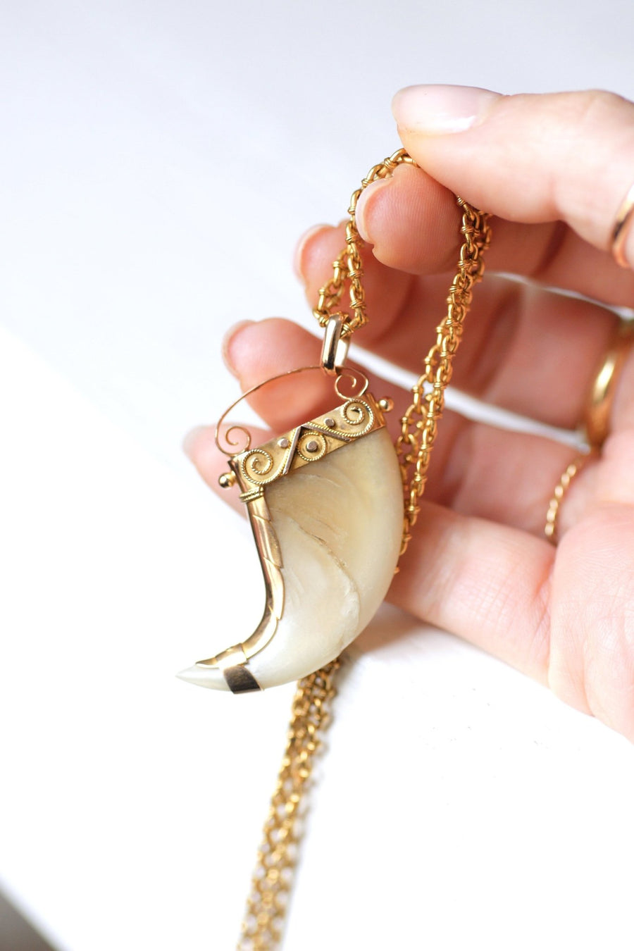 Pendant Victorian Tiger Claw on 14Kt Rose Gold, 19th Century