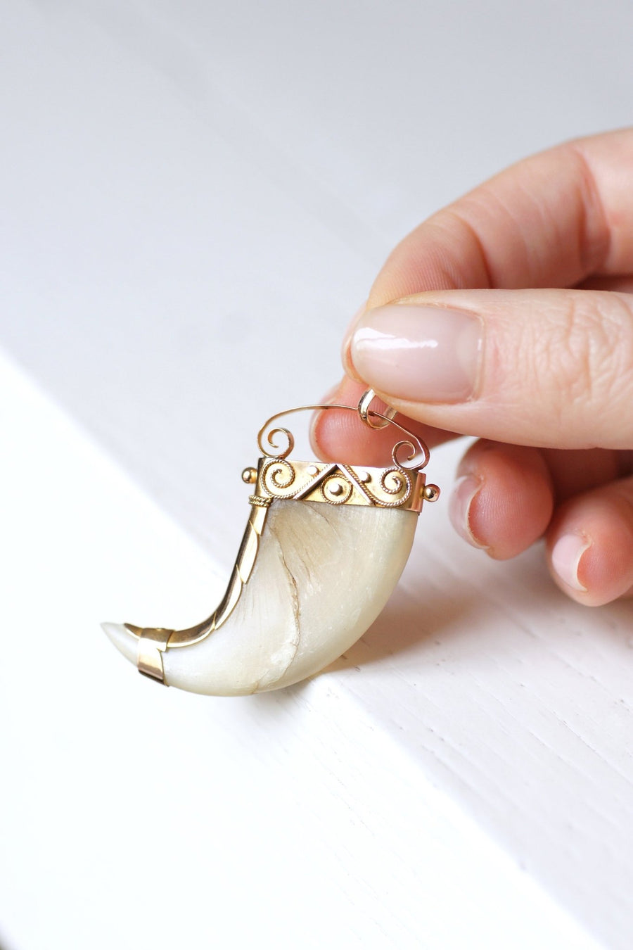 Pendant Victorian Tiger Claw on 14Kt Rose Gold, 19th Century