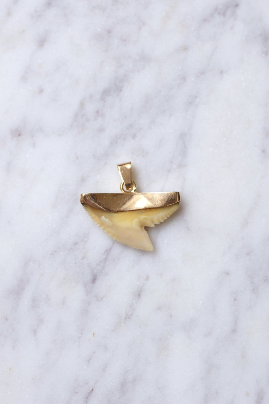 Vintage charm shark's tooth pendant on 18Kt pink gold - Galerie Pénélope
