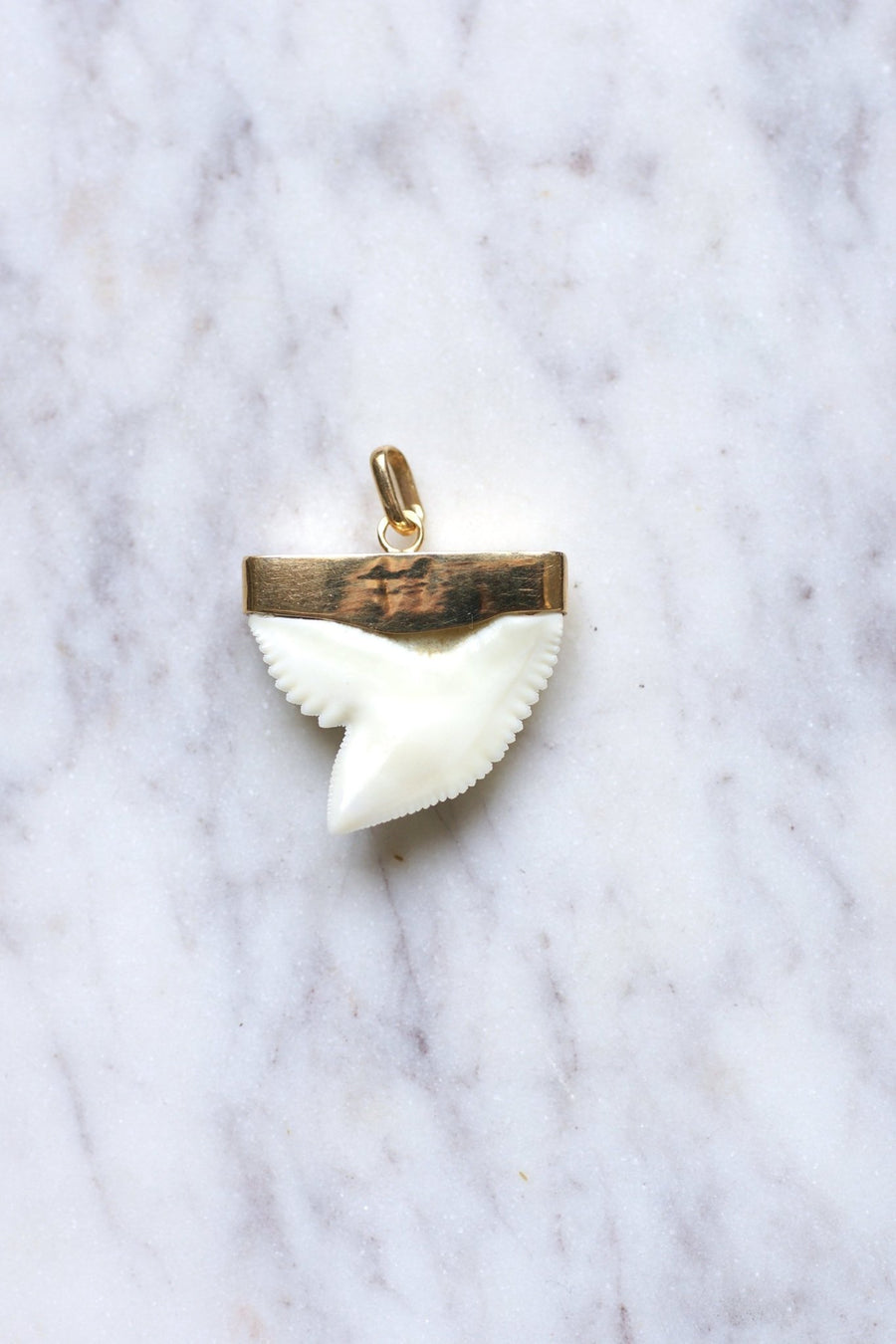 Vintage gold charm shark tooth pendant - Penelope Gallery