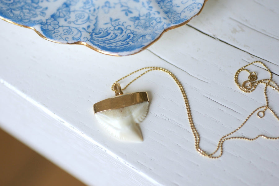 Vintage gold charm shark tooth pendant - Penelope Gallery