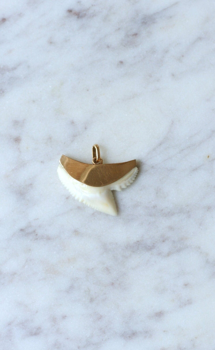 Vintage shark tooth pendant on gold - Penelope Gallery