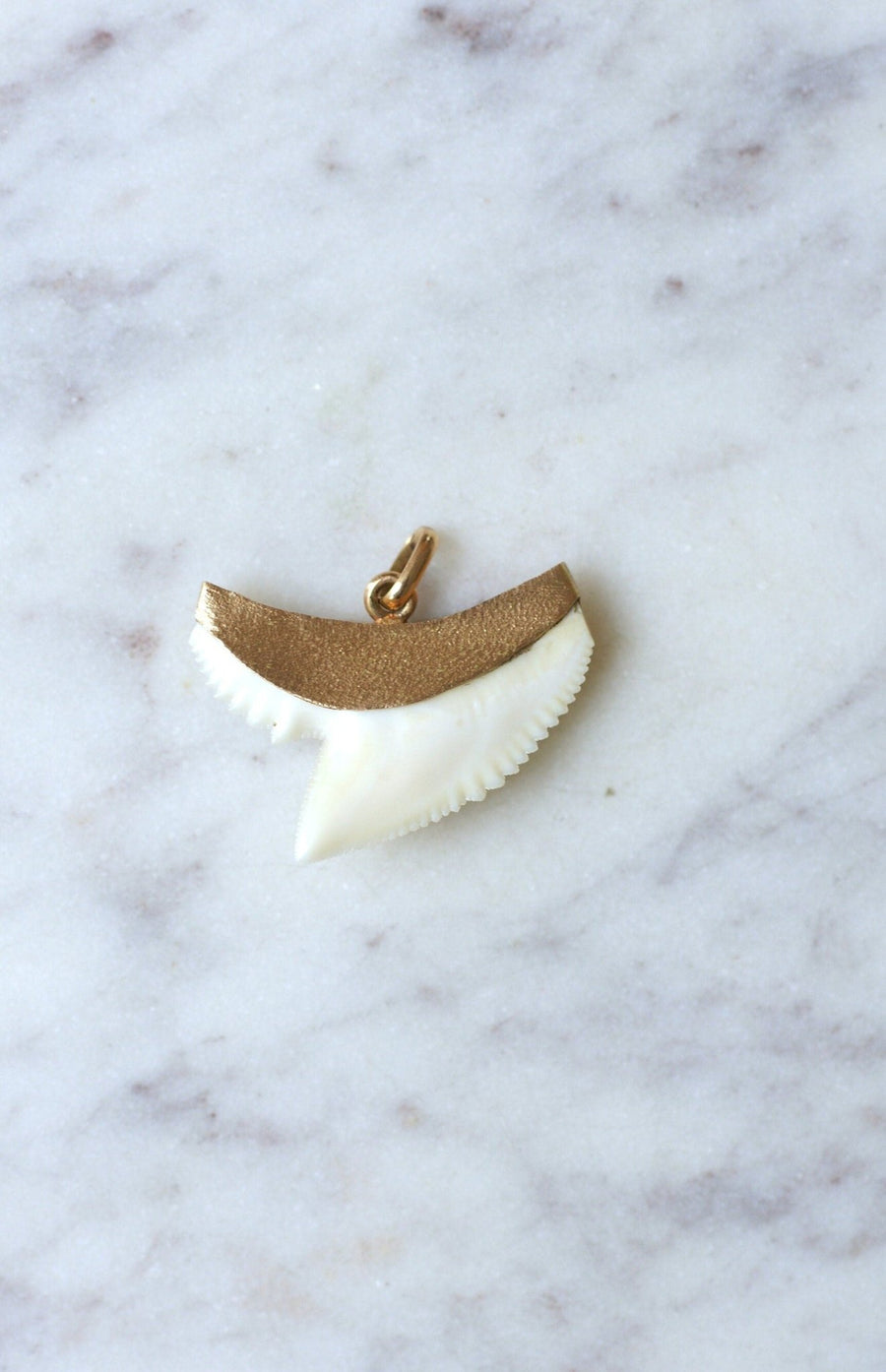 Vintage shark tooth pendant on gold - Penelope Gallery
