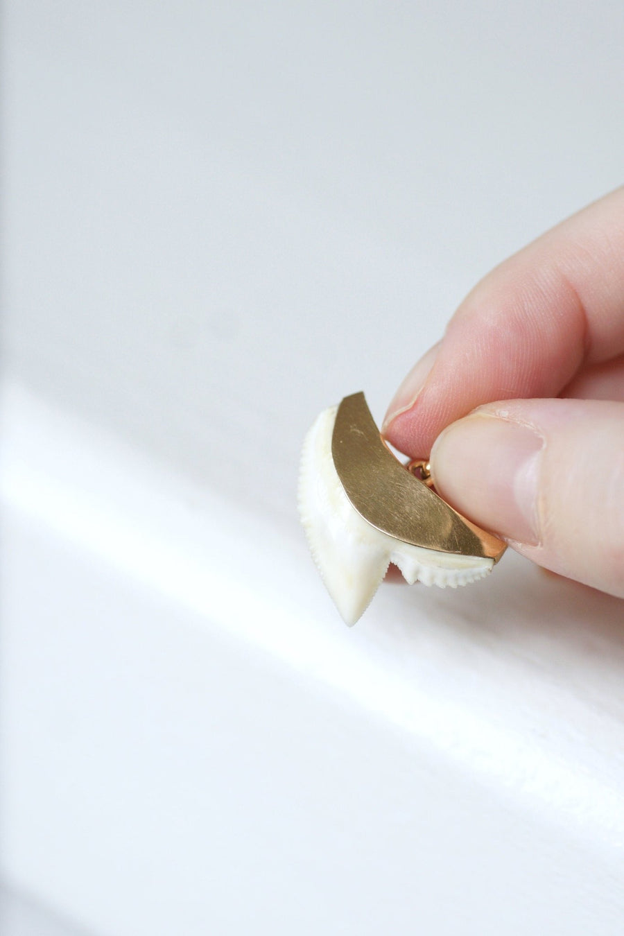 Vintage shark tooth pendant on gold - Penelope Gallery